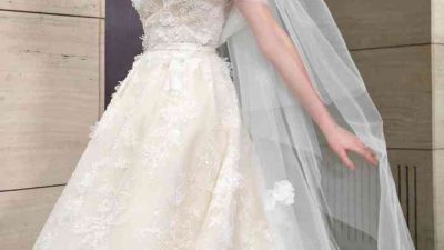 Elie Saab Wedding Dresses A Bridal Dream